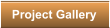 Project Gallery